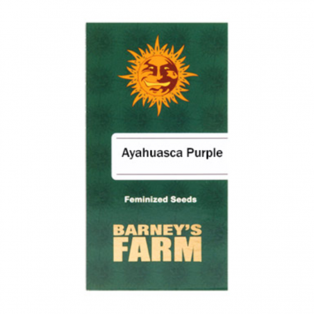 Barney's Farm Ayahuasca Purple Seeds 3 Stk.