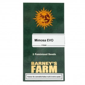 Mimosa EVO Barney’s Farm 3...