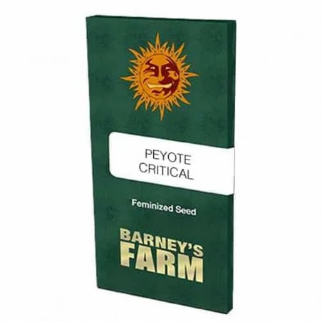 Barney's Farm Peyote Critical Seeds 3 Stk.
