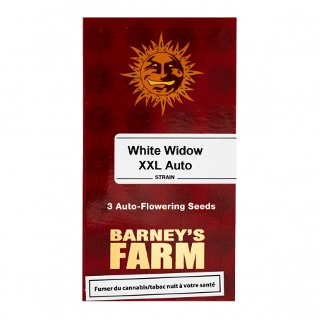 Barney's Farm White Widow XXL Auto Seeds 3 Stk.