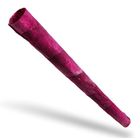 BBB Rosenblatt-Cone im Glasröhrchen