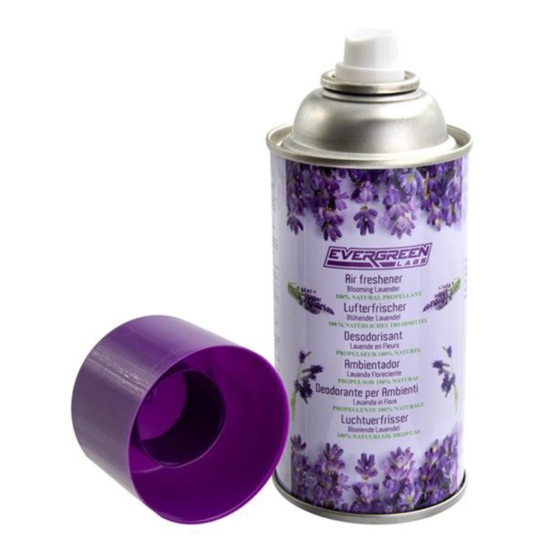 Dosensafe Lufterfrischer Lavendel