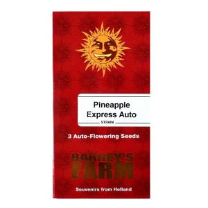 Pineapple Express Auto Barney’s Farm 3 Seeds Pack