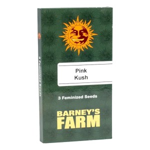 Pink Kush Barney’s Farm 3 Seeds Pack