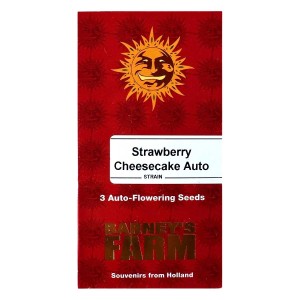 Barney's Farm Strawberry Cheesecake Auto Seeds 3 Stk.