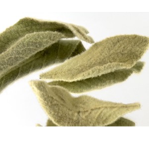 Zero Dose Kräutermischung 25g