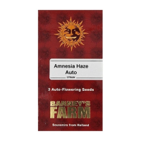 Cannabis-Samen - Online Bestellen - 420 Queenz Headshop