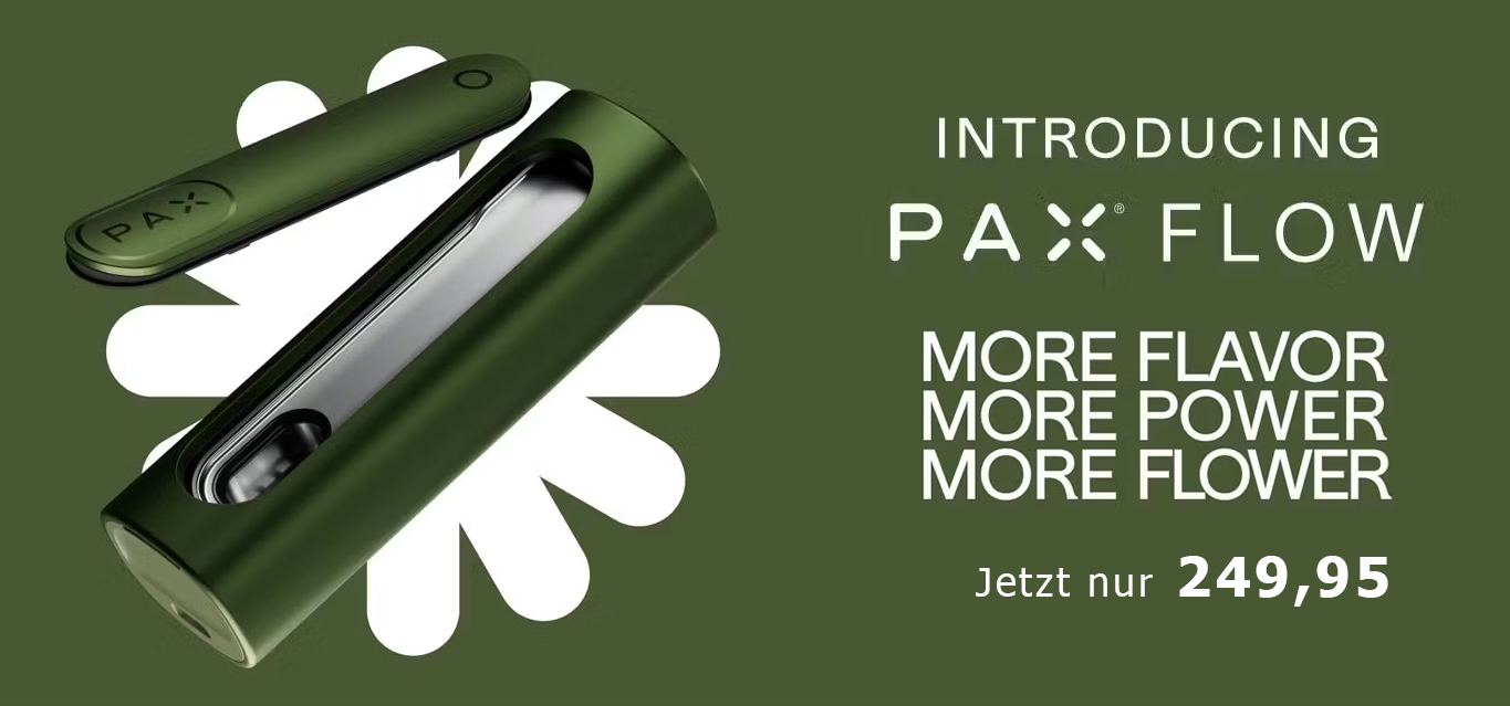 PAX Flow jetzt nur noch €249,95